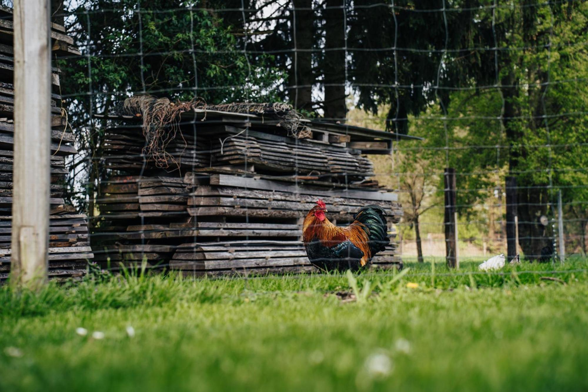 Ferienhaus Getreidesilo Шневердинген Екстериор снимка